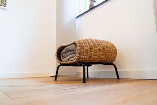 Weinrebe Apartman Bernkastel-Kues Kültér fotó